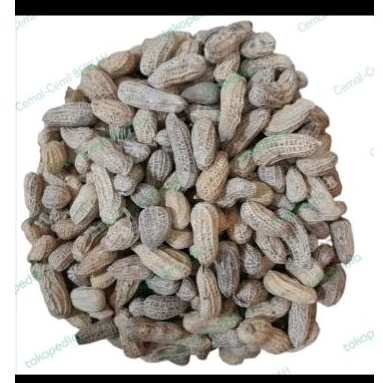 

KACANG KULIT SANGRAI PADAT RENYAH 500gram