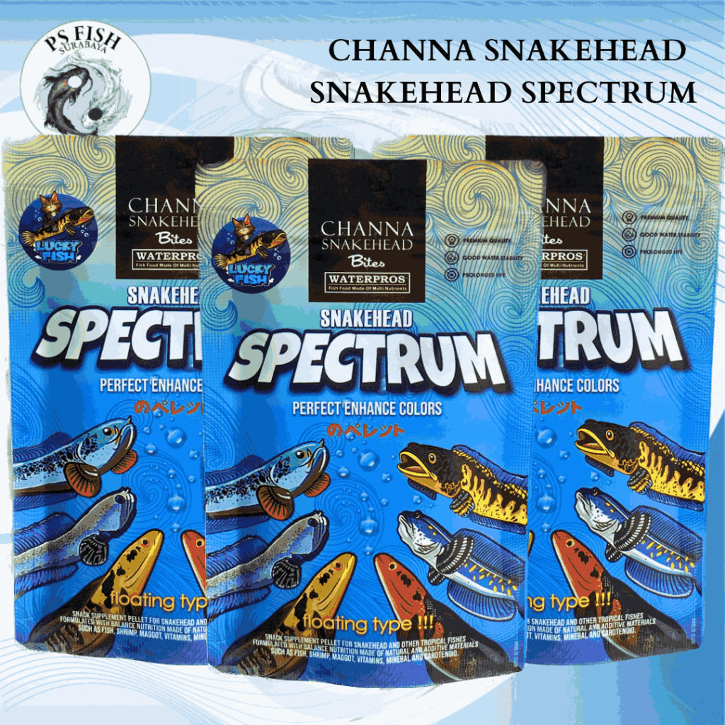 WATERPROS Channa Snakehead Snakehead Spectrum [PS FISH]