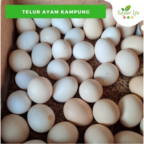 

Telur Ayam Kampung 10 Pcs / Pack Fresh Chicken Egg Telor Kuning Organik