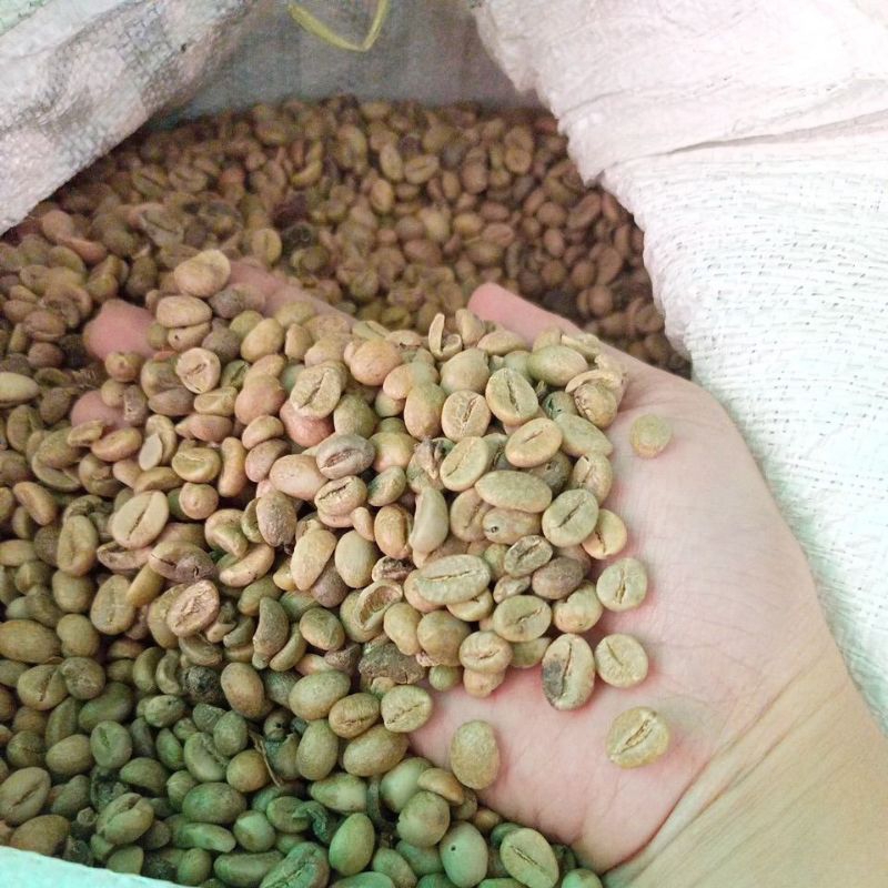 

Green Bean Kopi arabica arjuno mentah 1kg Natural