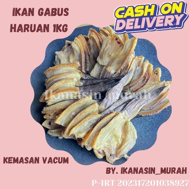 

IKAN ASIN GABUS 1KG / IKAN ASIN MURAH BISA COD