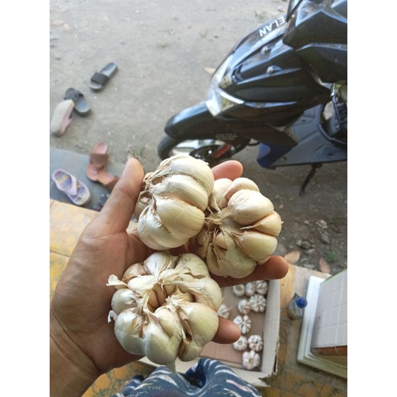 

Bawang putih 500gr