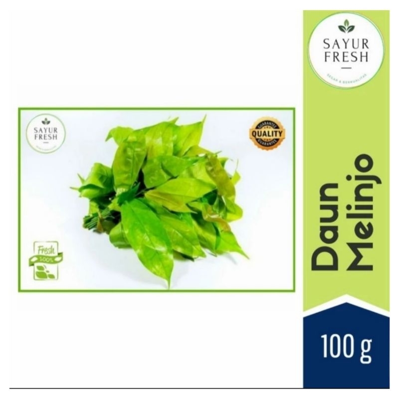 

Daun melinjo fresh