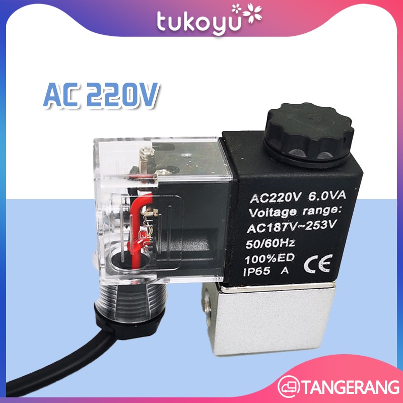 Selenoid Kompresor Valve 220V/Electrochemical Valve/Pneumatic Solenoid Valve