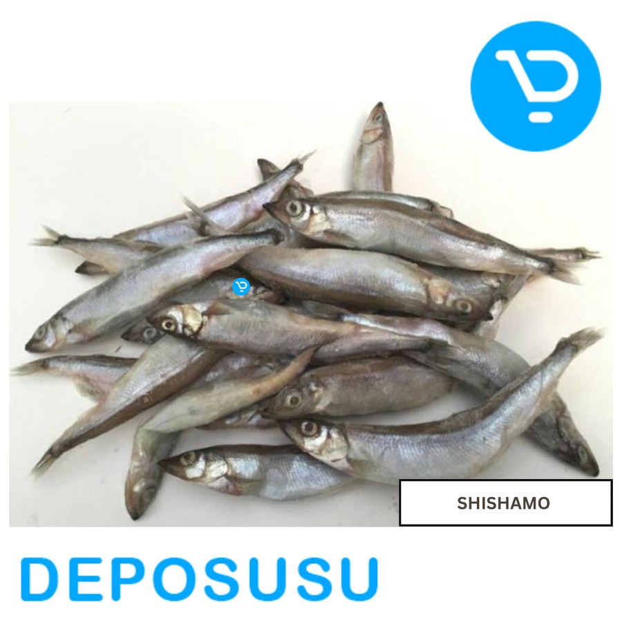 

IKAN SHISHAMO CAPELIN TELUR | SHISAMO FROZEN FISH
