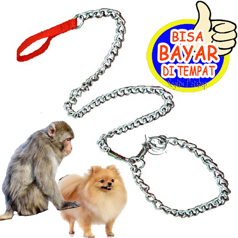 RANTAI PENUNTUN ANJING MONYET KUCING HEWAN