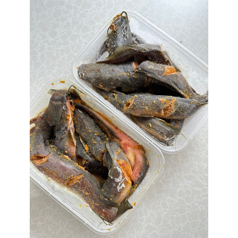 

Ikan lele frozen food (perbox isi 10 ekor)