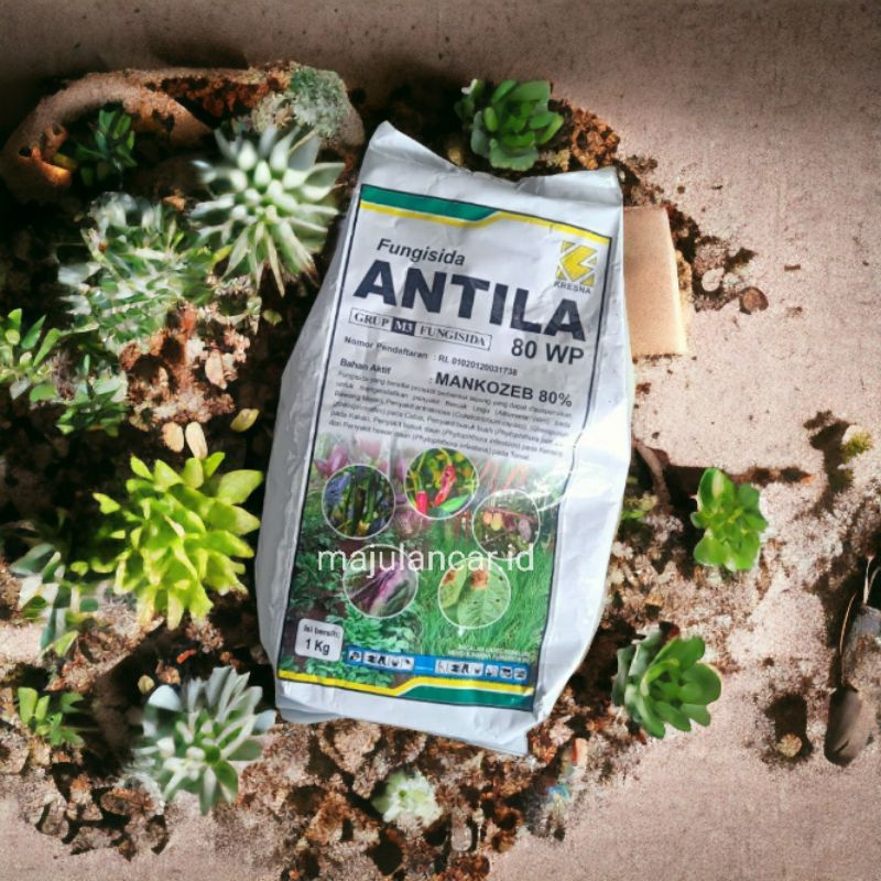 Antila 80WP - fungisida