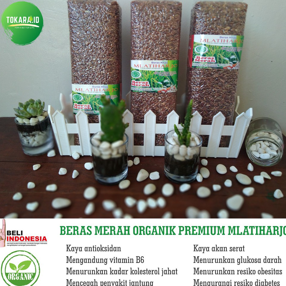 

RPPS2913 Beras merah organik premium (diet & MPASI )