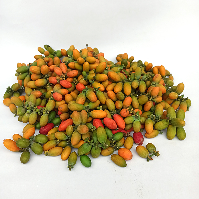 

Buah Melinjo Tangkil Sayur FRESH 1 Kg