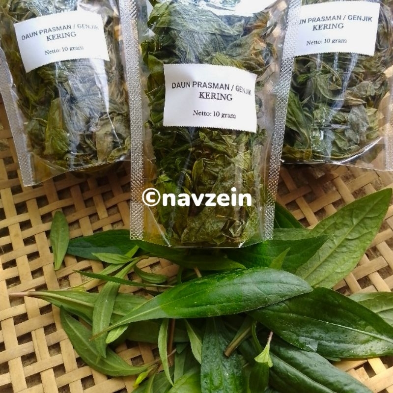 Daun Prasman/Genjik Kering (HERBAL) ORIGINAL