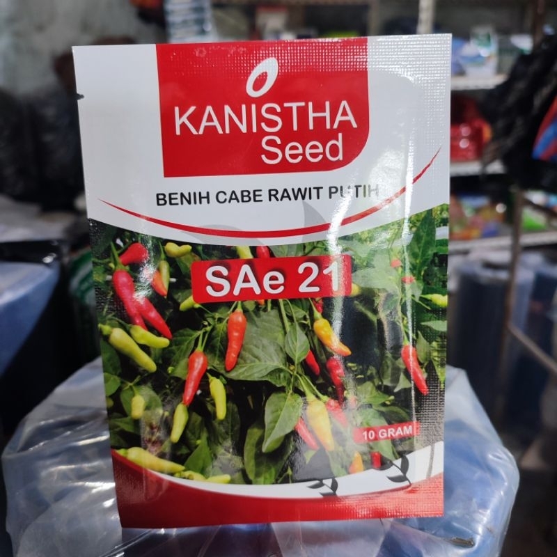 Benih Cabe Rawit SAe 21