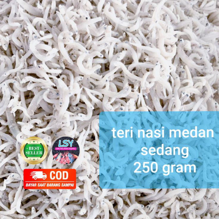 

Serba Murah ikan asin teri nasi medan size sedang 250gr