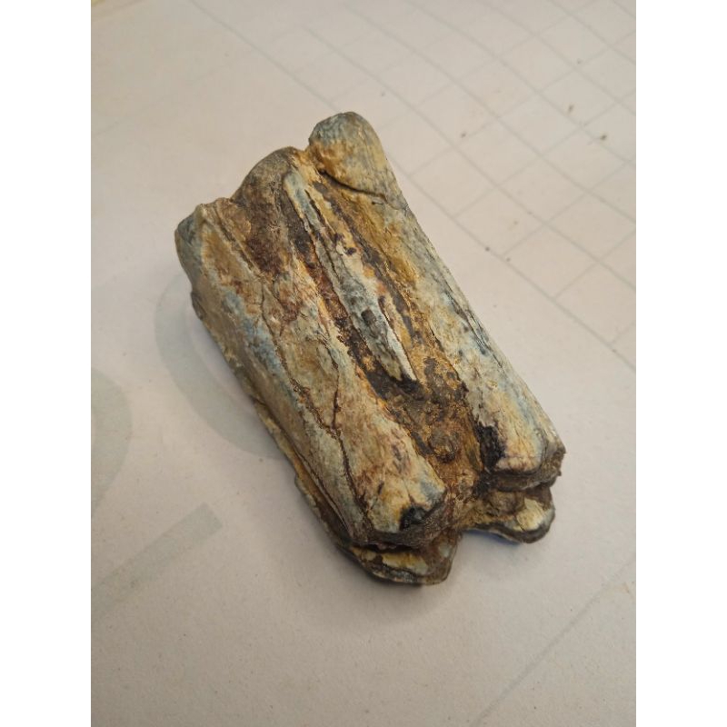 batu posil siung warak