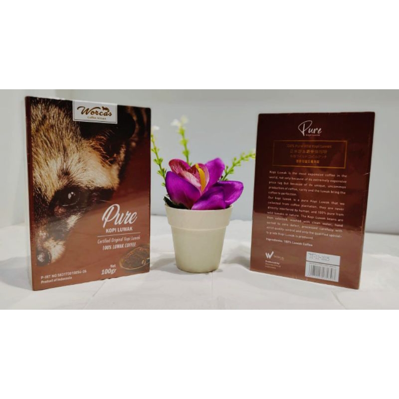 

WORCAS Pure Luwak Coffee 100gr - Classic Box