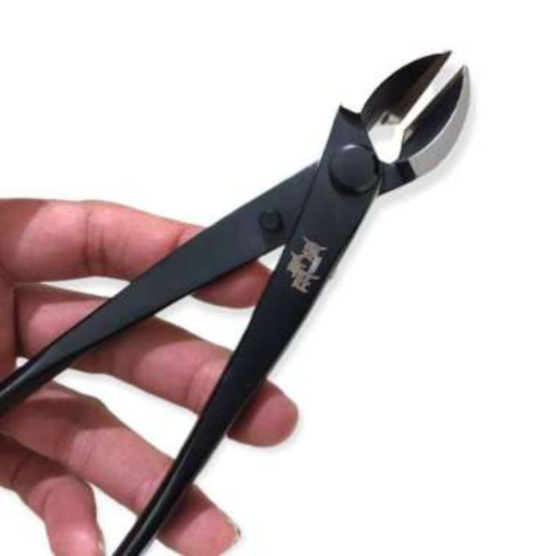 CATOK BONSAI CEMBUNG MIRING, KREKUT BONSAI, ALAT TANAMAN BONSAI IMPORT 21CM