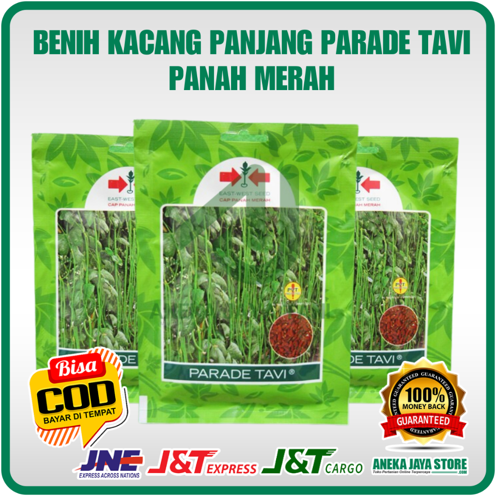 Benih Kacang Panjang Parade Tavi Panah Merah