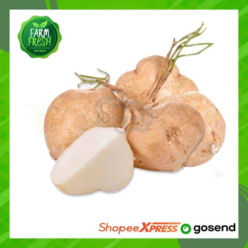 

KIRIM INSTAN Bengkuang / Bengkoang / Per Ikat