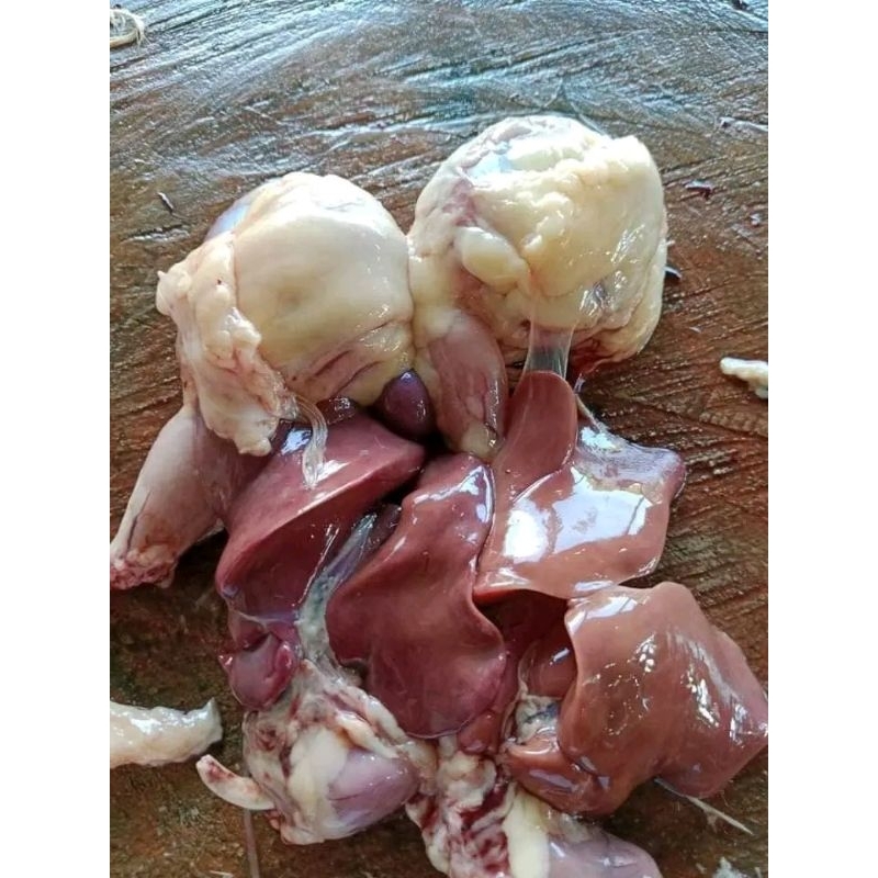 

Ati Ampela