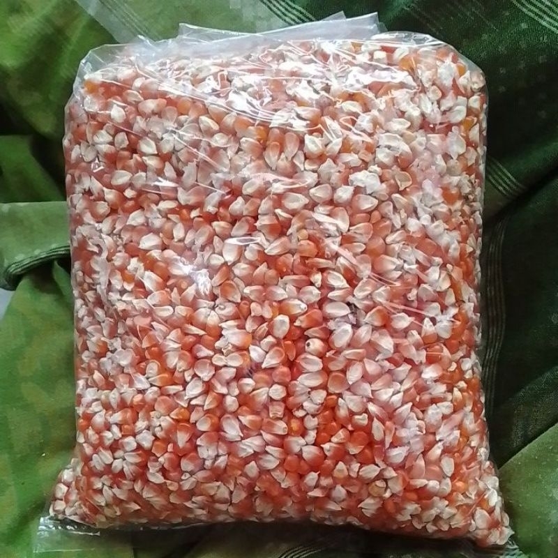 

jagung kecil 1 kg