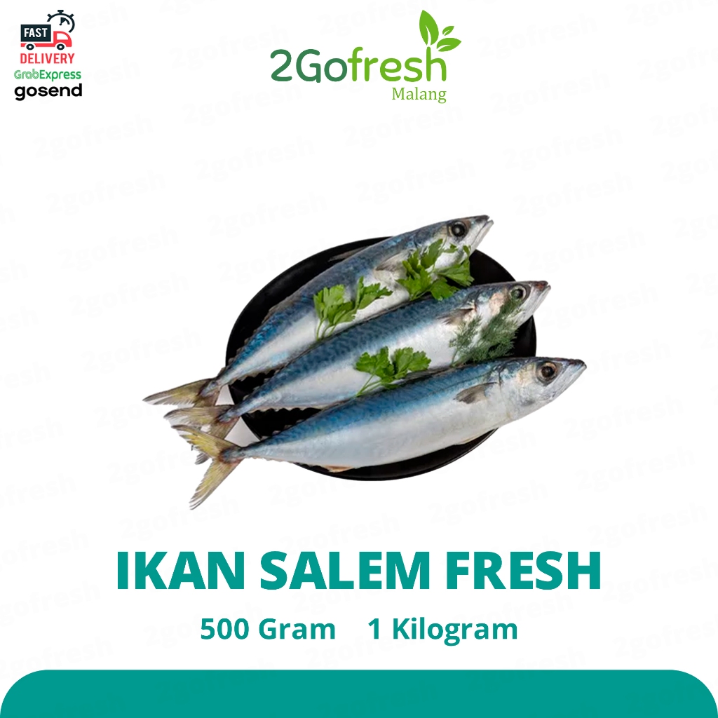 

Ikan Salem Fresh - Sayur Sayuran