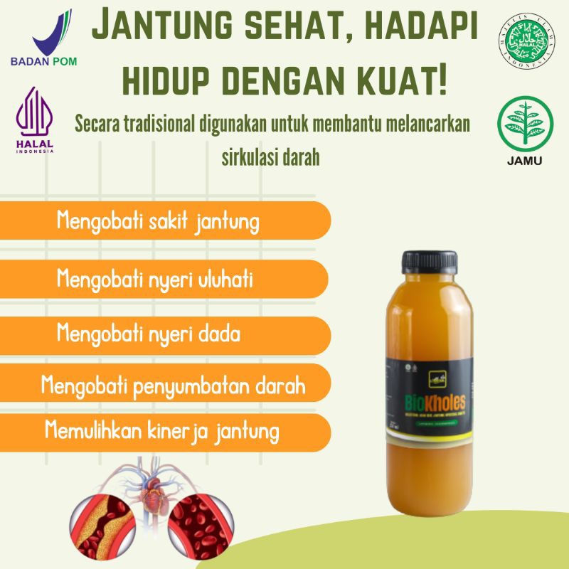 penghambat Saluran Kalium Herbal Alami BPOM Bio Kholes