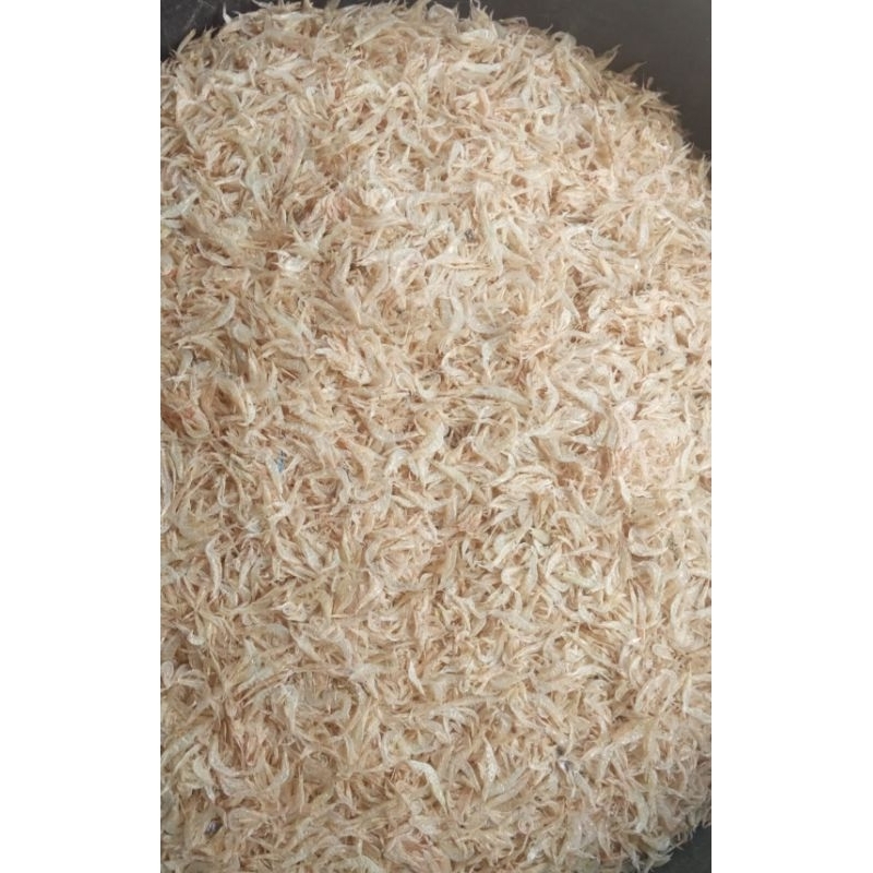 

Udang Rebon Tawar Istimewa Super 100 gram