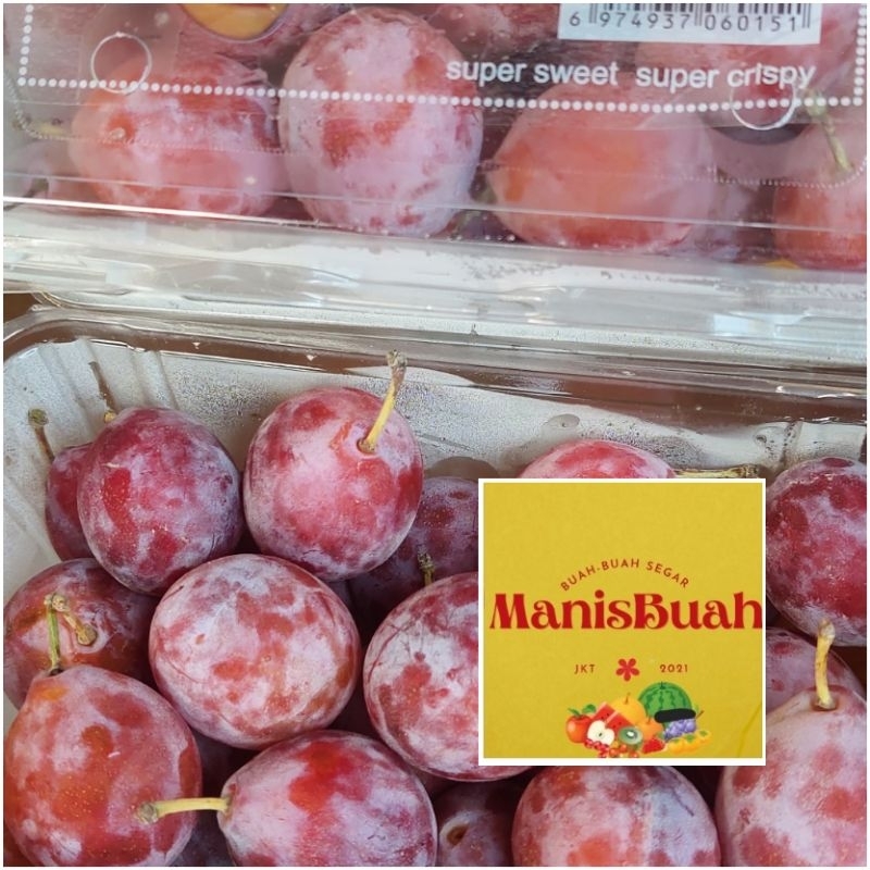 

sugar plum buah fresh per dus