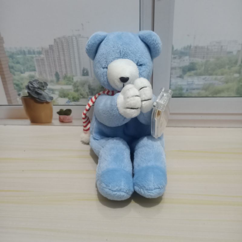 Boneka Teddy Beanie Boy Berdoa Original