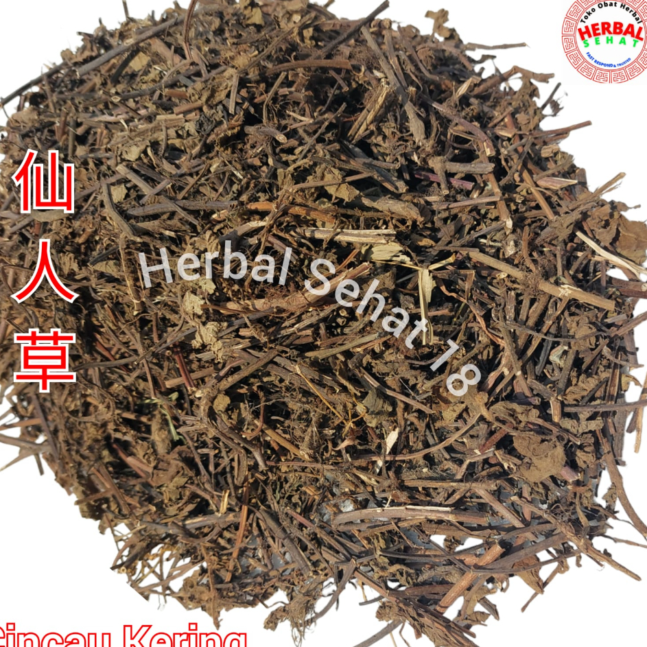 

↕➨⁑✲ Daun Cincau Hitam Kering 1 Kg 1000 Gram Lengkong Leng Kong Cingcau Xian Ren Cao Ready