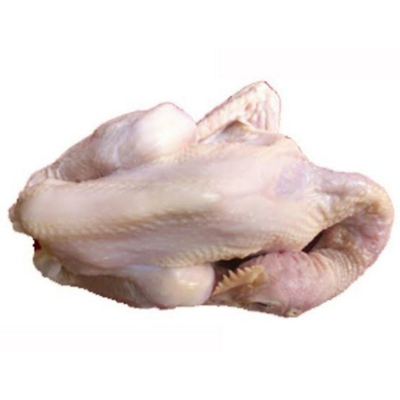

ayam kampung satu ekor 1,2-1,3kg/ ekor.