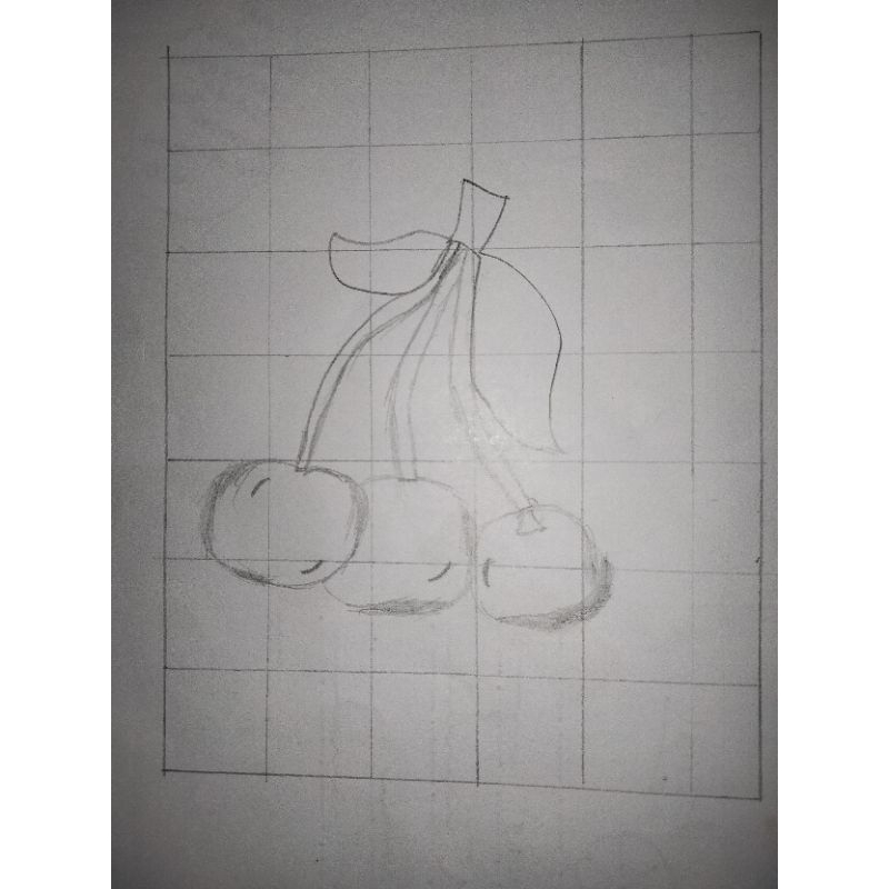 

gambar sketsa buah cerry