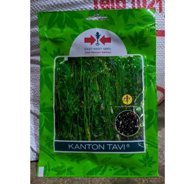 benih/ bibit kacang panjang (Kanton Tavi) cap panah merah