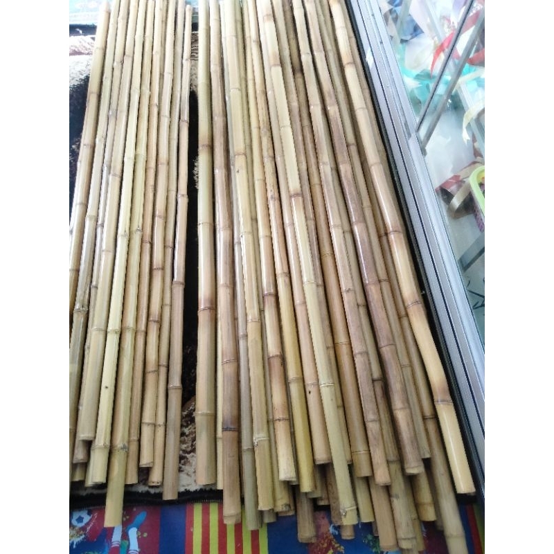 bambu lurus serbaguna 100batang