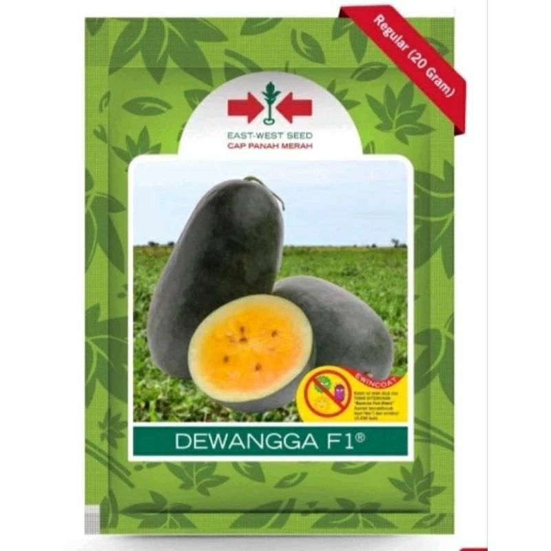 100BENIH SEMANGKA DEWANGGA KUNING HIBRIDA