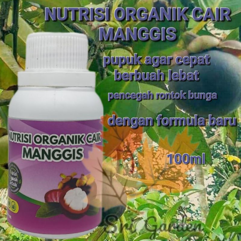 Booater manggis agar cepat besar dan berbuah lebat pupuk cair untuk manggis berbuah pupuk pencegah r