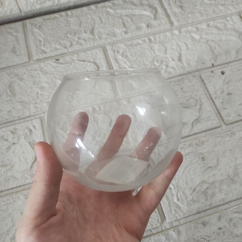 Akuarium Bundar Kecil