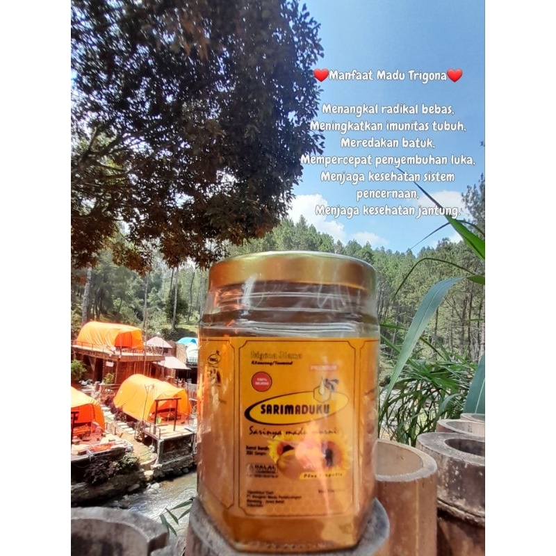 

MADU KLANCENG, MADU TRIGONA, MADU ASLI, MADU MURNI