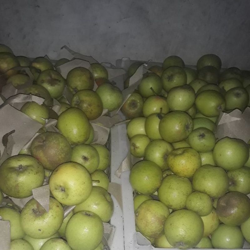 

apel mini manalagi ASLI jual khusus dus.. berat 1 dus 20 kg