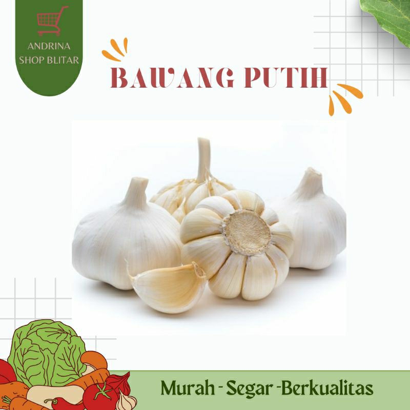 

Bawang Putih