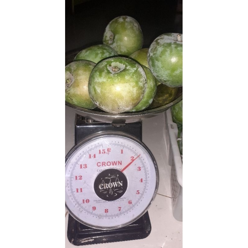 

Buah Mangga Apel fresh/rujak buah 1 kg