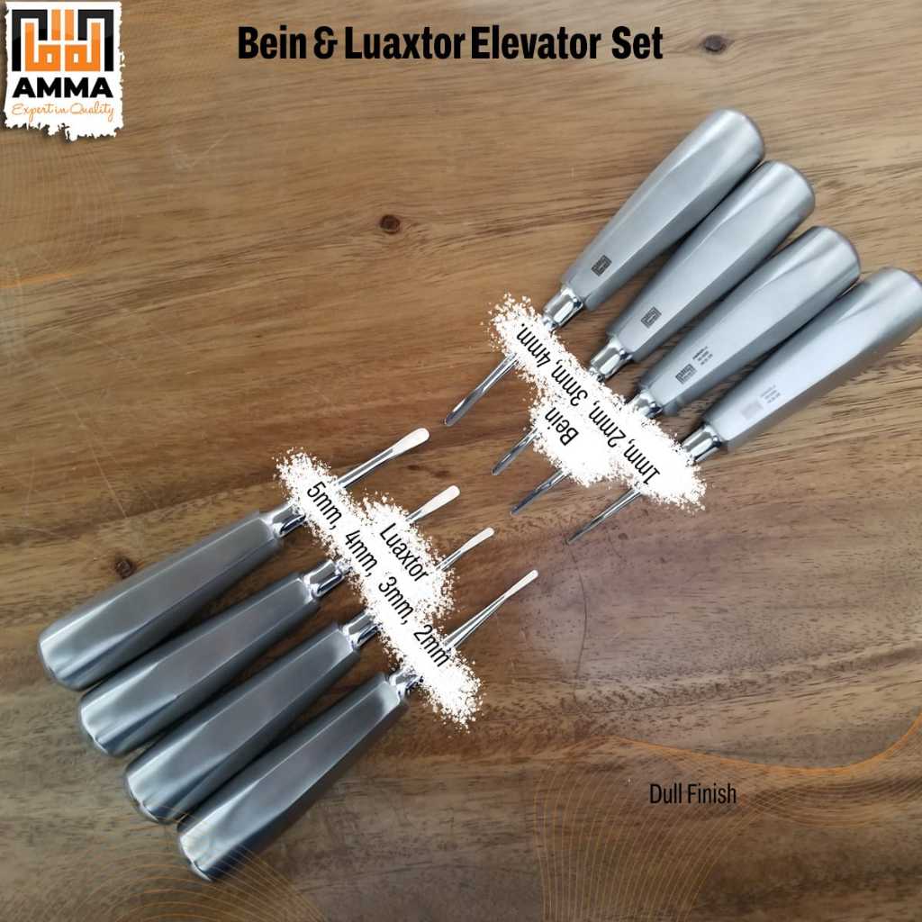 Dental Bein Root Elevator