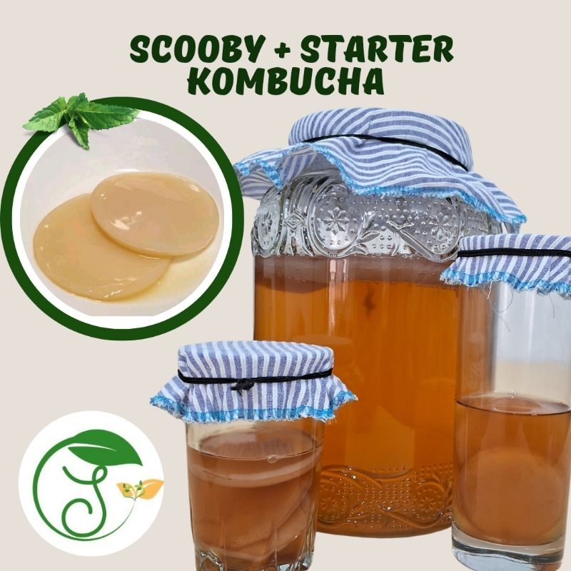 

Scooby + starter kombucha 200 ml