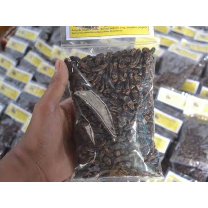 jangkrik kering 100gr BERKUALITAS TINGGI