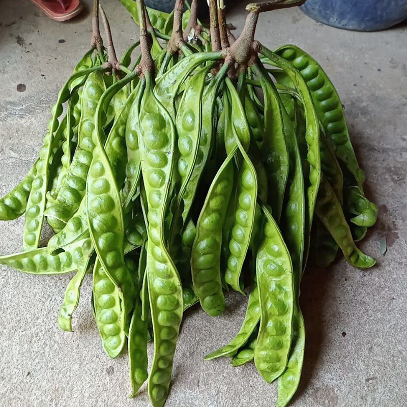 

Pete segar 10 papan murah