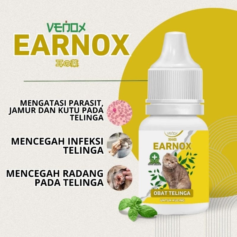 Earnox Tetes Telinga Kucing Infeksi Kutu Telinga Kucing Earmites