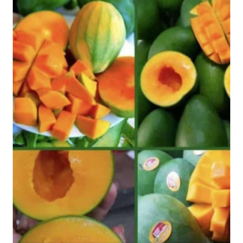 Mangga alpukat asli bangil isi 1 dus 5 kg