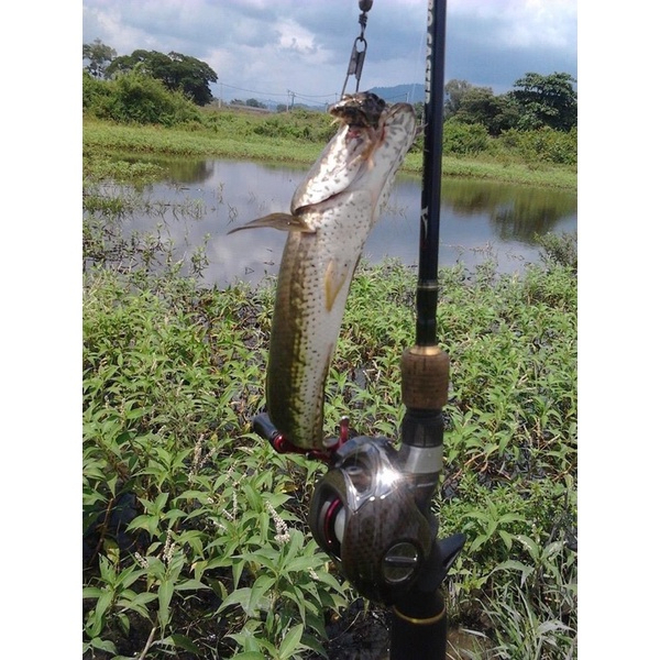 Joran Pancing BC XPUYU ROD PRO CASTER HOLLOW BLANK 5X ULTRA LAYER