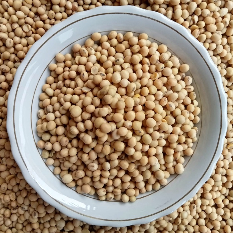 

Kacang Kedelai Import 1Kg