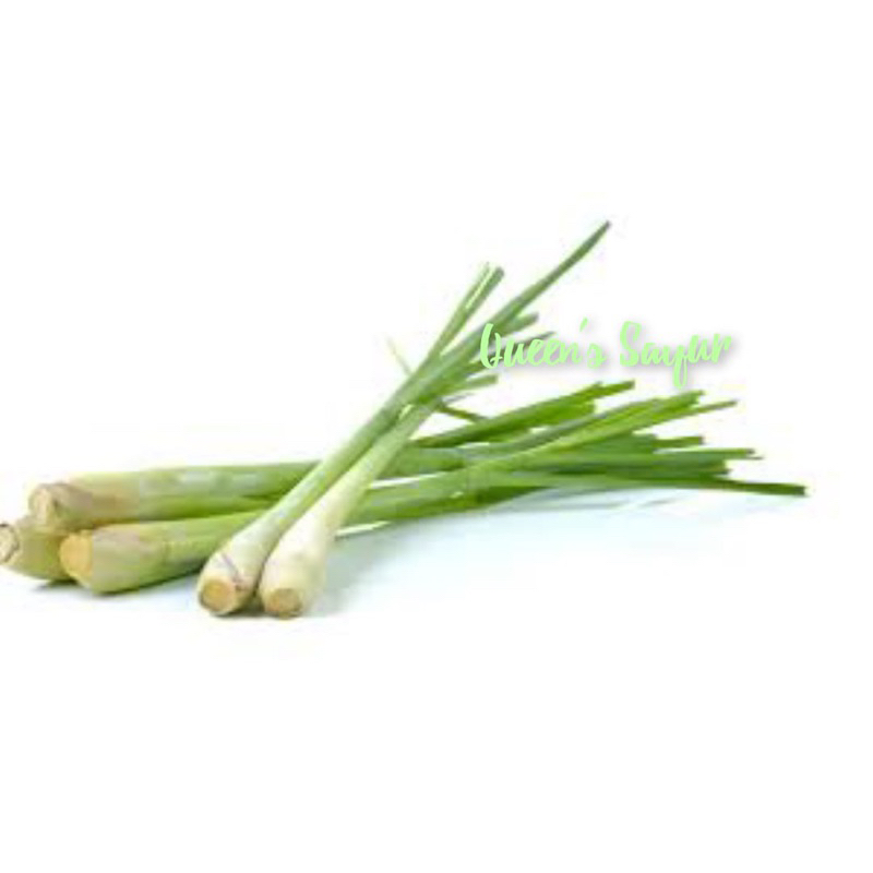 

Serai , Sere, Sereh (bumbu dapur)